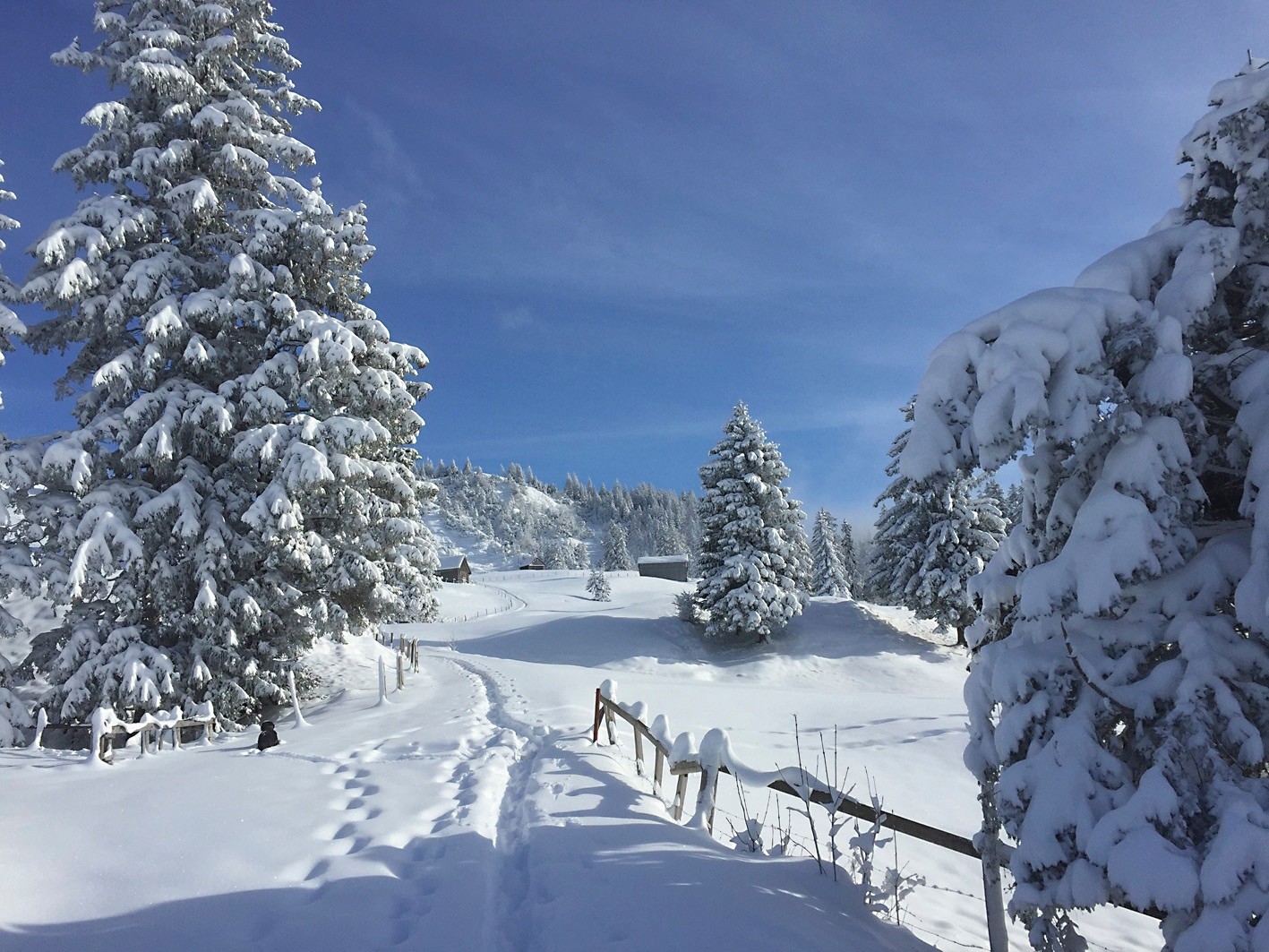 Wanderleiter und Wanderleiterinnen